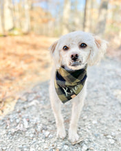 Load image into Gallery viewer, EMBROIDERY ADD-ON - Personalize Your Dog's Bandana