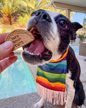 Cargar imagen en el visor de la galería, TACO Cookie Cutter WITH WORDS (Multiple Styles Available)