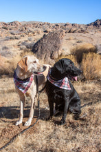 Load image into Gallery viewer, Good Tidings Plaid Flannel Dog Bandana (Personalization Available)
