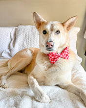 Load image into Gallery viewer, Strawberry Plaid Dog Bow Tie
