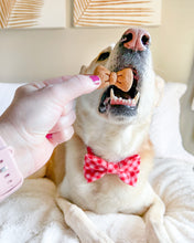Load image into Gallery viewer, Bow Tie Shape Dog Biscuit Cookie Cutter
