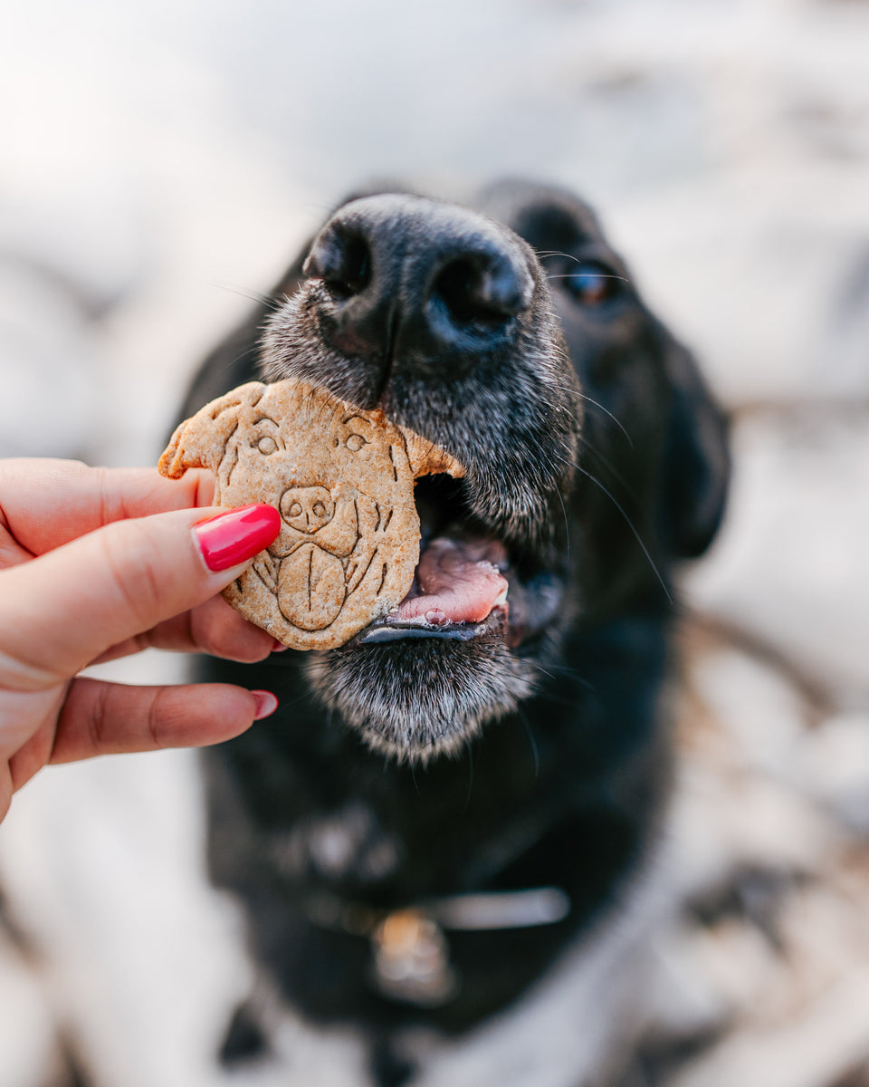 Pet Portrait Cookie Cutter (Custom) – Loki Doki Dog