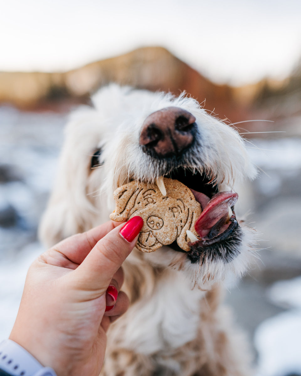 Pet Portrait Cookie Cutter (Custom) – Loki Doki Dog