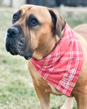 Load image into Gallery viewer, Sun-kissed Coral Plaid Flannel Dog Bandana (Personalization Available)