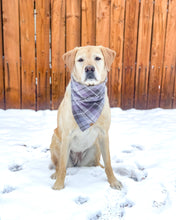 Load image into Gallery viewer, Lavender Plaid Flannel Dog Bandana (Personalization Available)