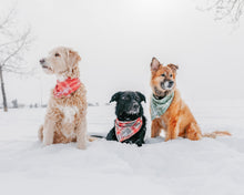 Load image into Gallery viewer, Sun-kissed Coral Plaid Flannel Dog Bandana (Personalization Available)