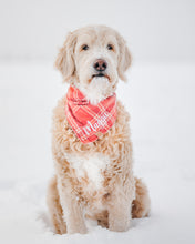 Load image into Gallery viewer, Sun-kissed Coral Plaid Flannel Dog Bandana (Personalization Available)