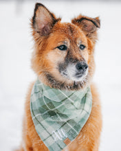 Load image into Gallery viewer, Seaside Green Plaid Flannel Dog Bandana (Personalization Available)