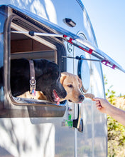 Load image into Gallery viewer, Camper for Your Travels Cookie Cutter Bundle (BUNDLE of 3)