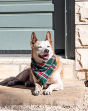 Load image into Gallery viewer, Green Plaid Flannel Dog Bandana (Personalization Available)