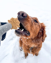 Load image into Gallery viewer, Snowflake Shaped Dog Biscuit Cookie Cutter (Style A)