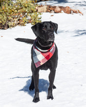 Load image into Gallery viewer, All-American Flannel Plaid Dog Bandana (Personalization Available)
