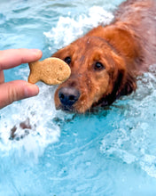 Cargar imagen en el visor de la galería, Goldfish Multi-Cutter (MINI SIZE) Sets Available with Optional Stamp Tool