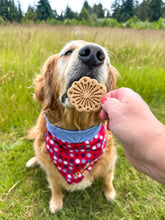 Charger l'image dans la galerie, Firework Cookie Cutter