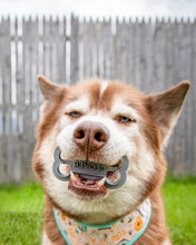 Charger l'image dans la galerie, Emporte-pièce en forme d'os personnalisé