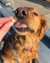 Cargar imagen en el visor de la galería, Juegos de cortadores múltiples con forma de estrella (tamaño de premio de entrenamiento) disponibles con herramienta opcional