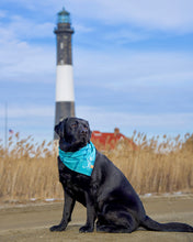 Load image into Gallery viewer, Pacific Blue Plaid Flannel Dog Bandana (Personalization Available)