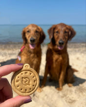 Load image into Gallery viewer, Compass Shaped Cookie Cutter