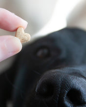 Cargar imagen en el visor de la galería, Juegos de cortadores múltiples en forma de corazón (tamaño de premio de entrenamiento) disponibles con herramienta opcional