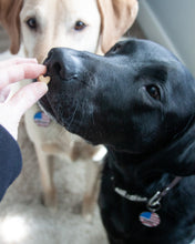 Cargar imagen en el visor de la galería, Juegos de cortadores múltiples en forma de corazón (tamaño de premio de entrenamiento) disponibles con herramienta opcional