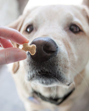 Cargar imagen en el visor de la galería, Juegos de cortadores múltiples con forma de hueso (tamaño de premio de entrenamiento) disponibles con herramienta opcional