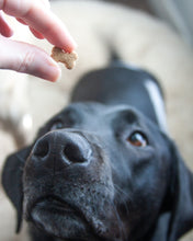 Cargar imagen en el visor de la galería, Juegos de cortadores múltiples con forma de hueso (tamaño de premio de entrenamiento) disponibles con herramienta opcional