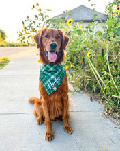 Load image into Gallery viewer, Forest Green Plaid Flannel Dog Bandana (Personalization Available)