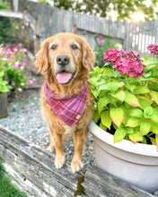 Load image into Gallery viewer, Mulberry Plaid Flannel Dog Bandana (Personalization Available)