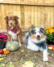 Load image into Gallery viewer, Mulberry Plaid Flannel Dog Bandana (Personalization Available)