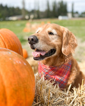 Load image into Gallery viewer, Autumn Days Flannel Plaid Dog Bandana (Personalization Available)