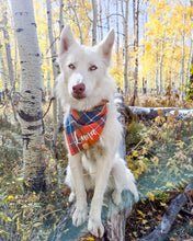 Load image into Gallery viewer, Pumpkin Harvest Plaid Flannel Dog Bandana (Personalization Available)