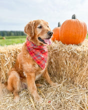 Load image into Gallery viewer, Autumn Days Flannel Plaid Dog Bandana (Personalization Available)