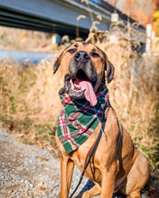 Load image into Gallery viewer, Green Plaid Flannel Dog Bandana (Personalization Available)