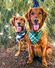 Load image into Gallery viewer, White Buffalo Plaid Flannel Dog Bandana (Personalization Available)