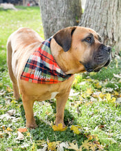 Load image into Gallery viewer, Fall Harvest Plaid Flannel Dog Bandana