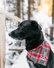 Load image into Gallery viewer, Gray and Red Plaid Flannel Dog Bandana (Personalization Available)