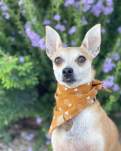Load image into Gallery viewer, Golden Arrows Dog Bandana (Personalization Available)
