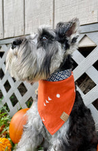 Load image into Gallery viewer, Pumpkin Spice Dog Bandana (Reversible)
