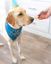 Cargar imagen en el visor de la galería, Cortador de galletas con forma de cupcake