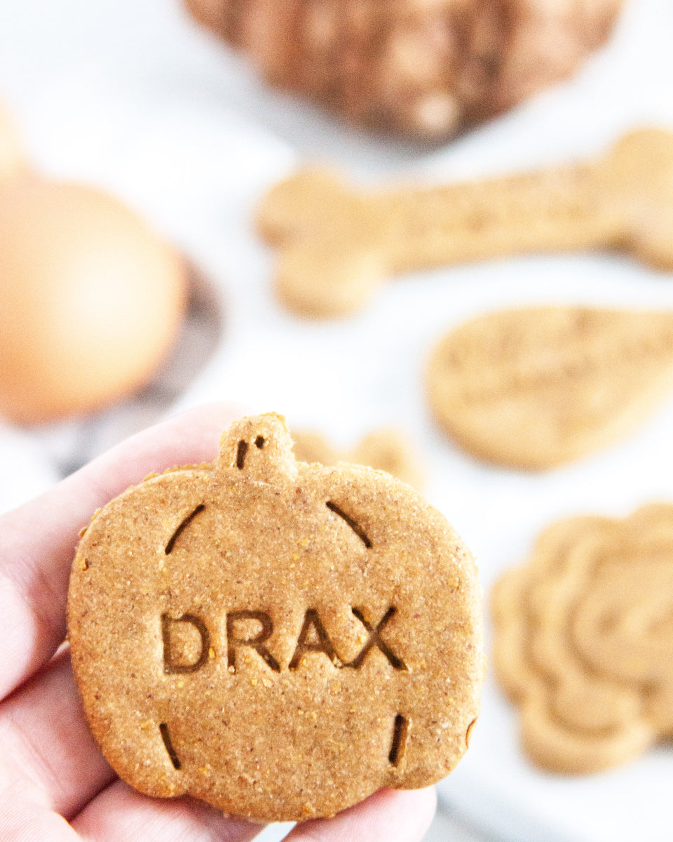 Personalized Pumpkin Shaped Dog Biscuit Cookie Cutter Loki Doki Dog