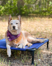 Load image into Gallery viewer, Wildberry Plaid Flannel Dog Bandana (Personalization Available)