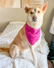 Charger l'image dans la galerie, Confettis et chapeaux - Bandanas pour chien d'anniversaire et bandanas pour chien Gotcha Day (réversibles disponibles)