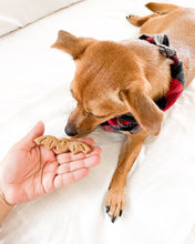 Load image into Gallery viewer, Bat Shaped Cookie Cutter