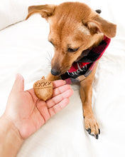 Load image into Gallery viewer, Acorn Shaped Dog Biscuit Cookie Cutter