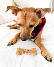 Load image into Gallery viewer, "Hello Pup-kin" Dog Bone Shaped Cookie Cutter