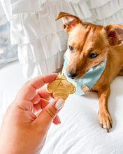 Cargar imagen en el visor de la galería, Cortadores de galletas con forma de primavera (paquete de 3)