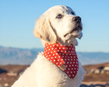 Load image into Gallery viewer, Star-spangled Dog Bandana (Personalization Available)
