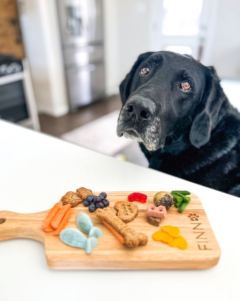 Tabla de embutidos casera para tu perro: Tabla de embutidos 101