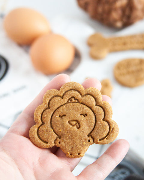 Galletas de manzana y calabaza para perros