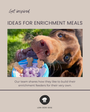 Cargar imagen en el visor de la galería, Honey Pot SodaPup Pup-X Rubber Dog Treat Dispenser- Enrichment Feeder
